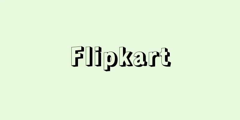 Flipkart