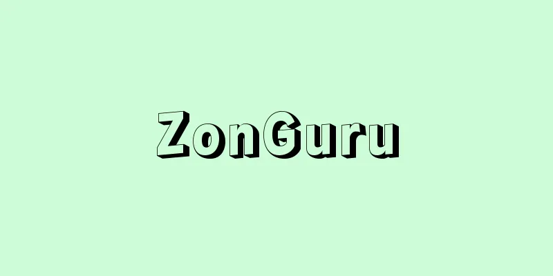 ZonGuru