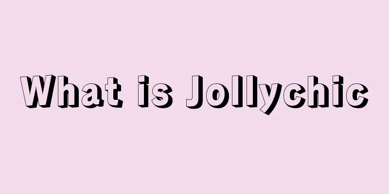 What is Jollychic