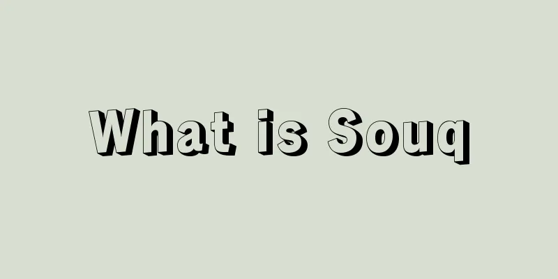 What is Souq
