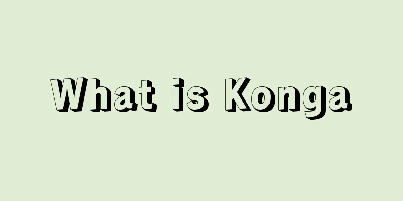 What is Konga
