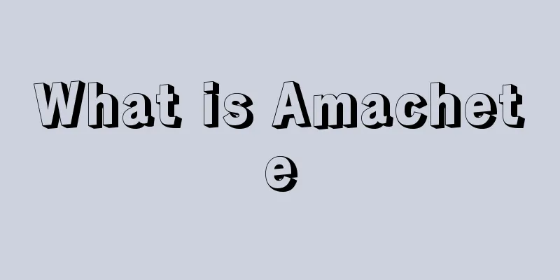 What is Amachete