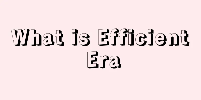 What is Efficient Era