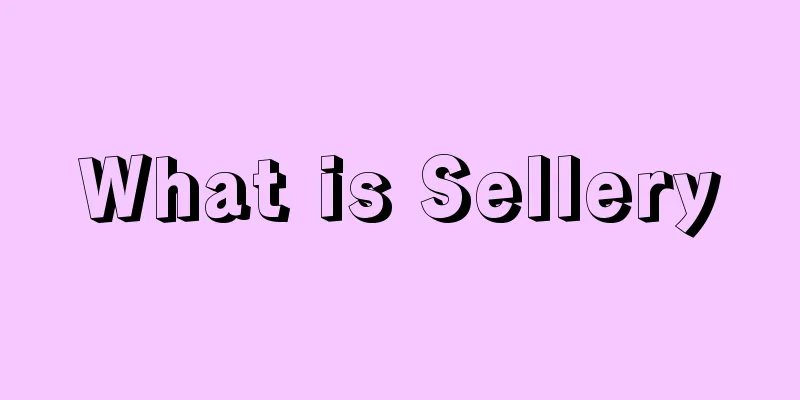 What is Sellery