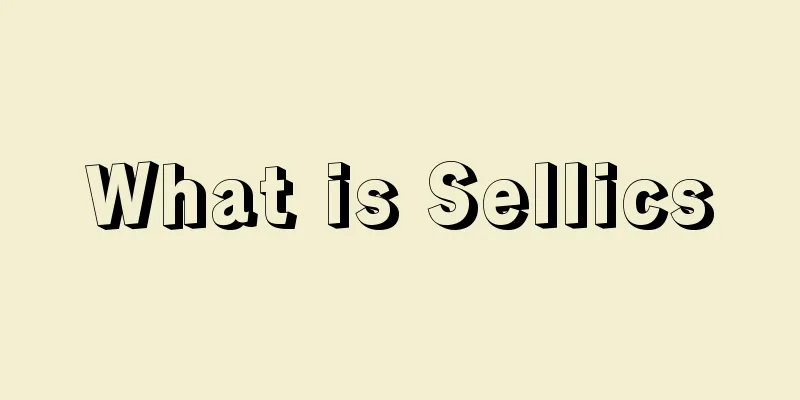 What is Sellics