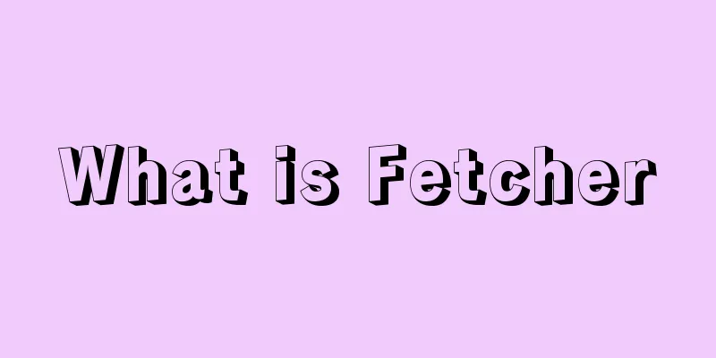 What is Fetcher