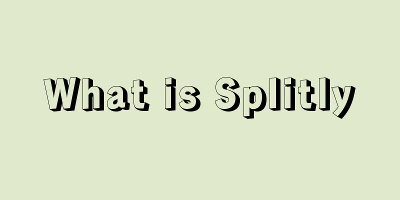 What is Splitly