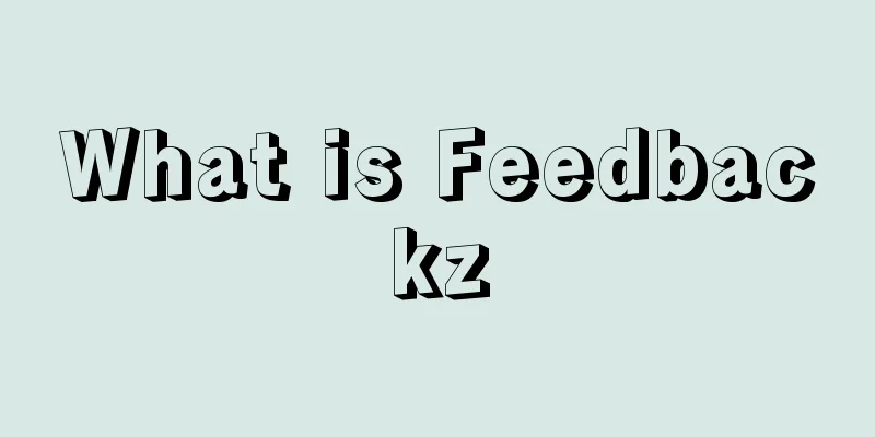 What is Feedbackz