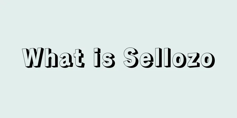 What is Sellozo