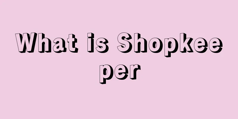 What is Shopkeeper