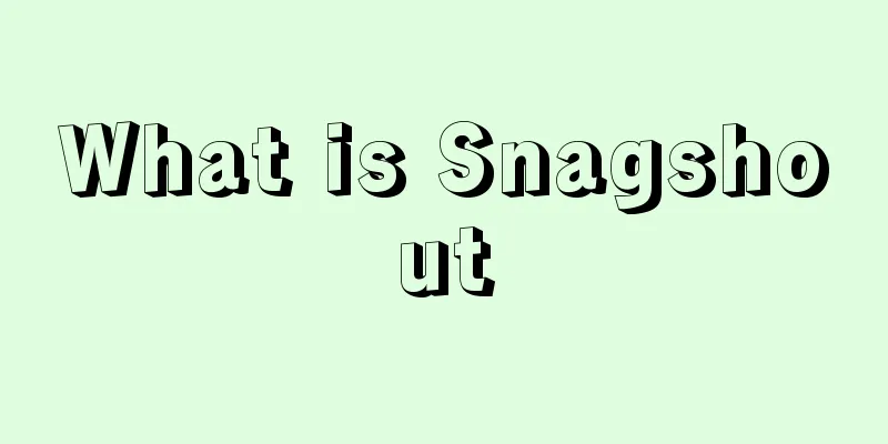 What is Snagshout