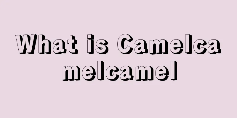 What is Camelcamelcamel