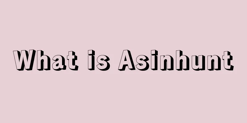 What is Asinhunt