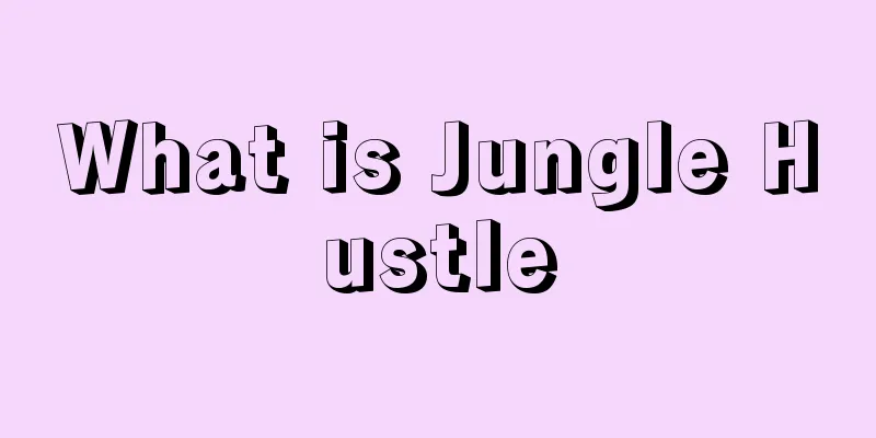 What is Jungle Hustle