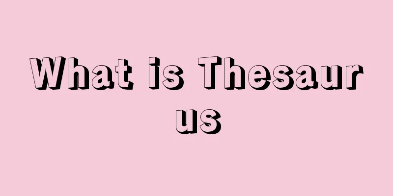 What is Thesaurus