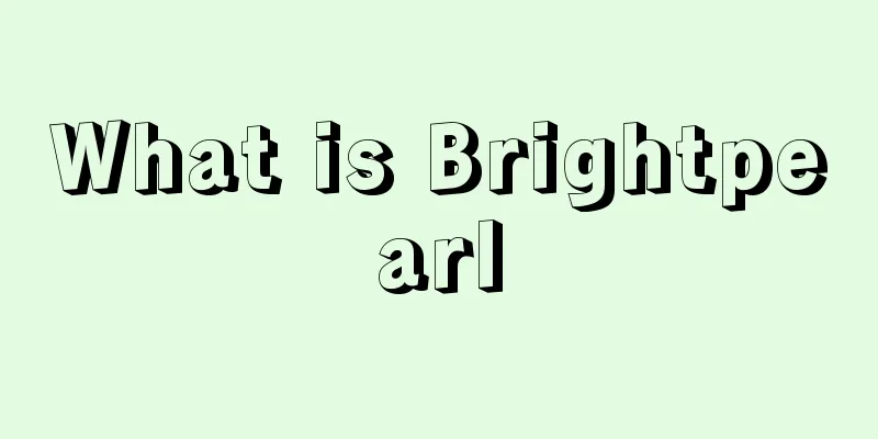 What is Brightpearl
