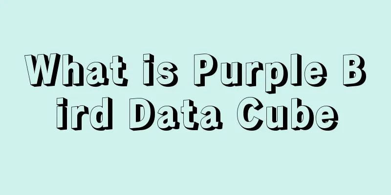 What is Purple Bird Data Cube