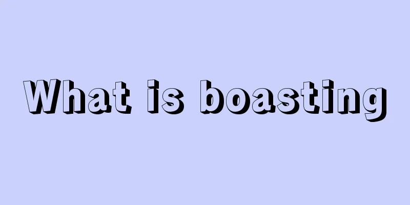 What is boasting