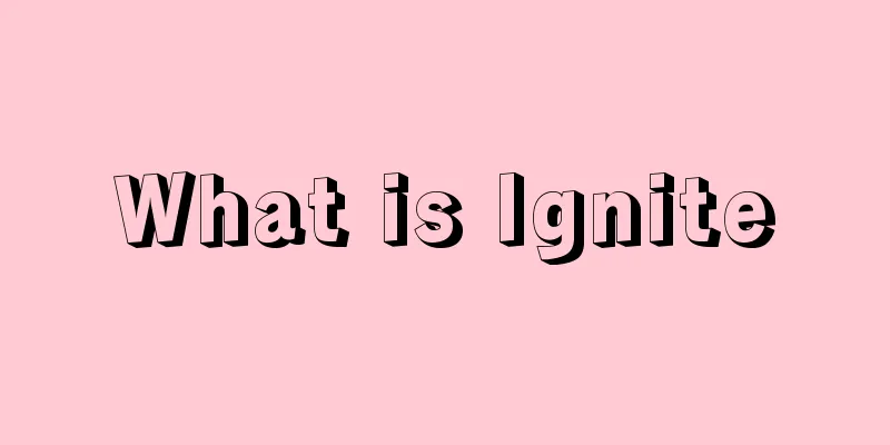 What is Ignite
