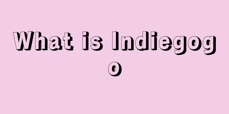 What is Indiegogo