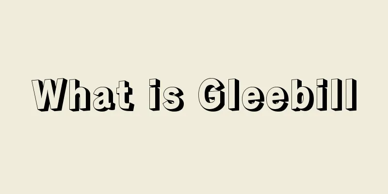 What is Gleebill