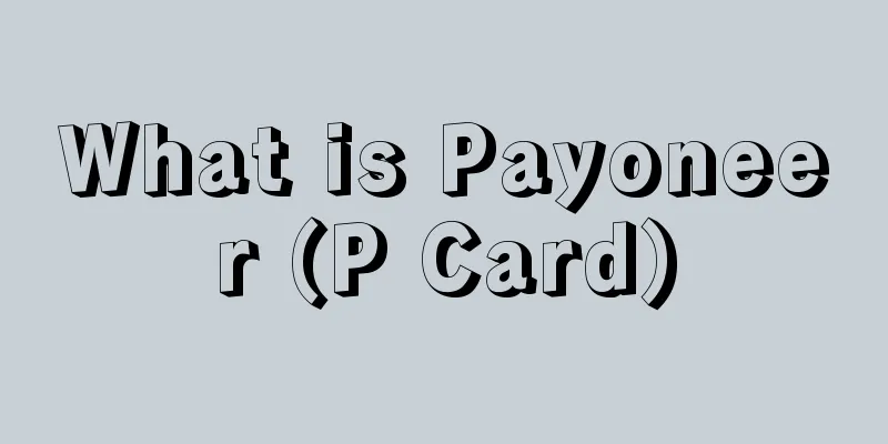 What is Payoneer (P Card)