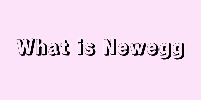 What is Newegg