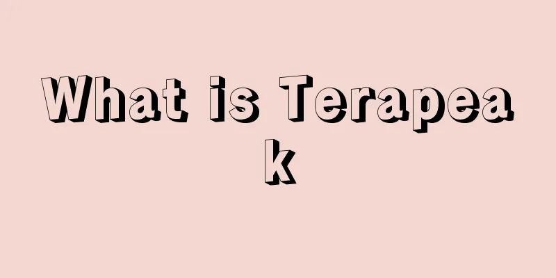 What is Terapeak