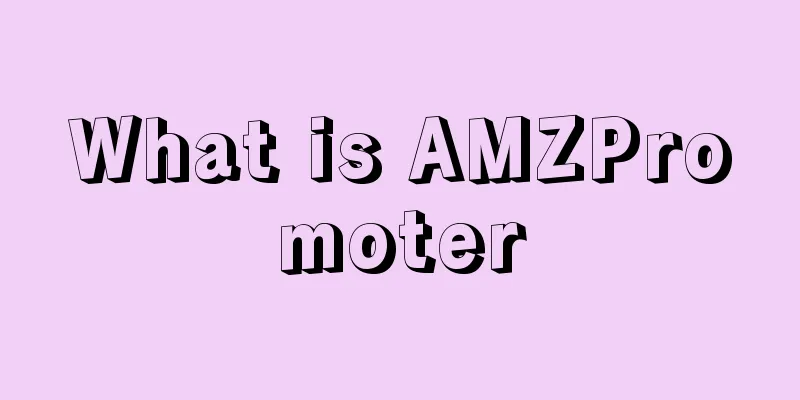 What is AMZPromoter