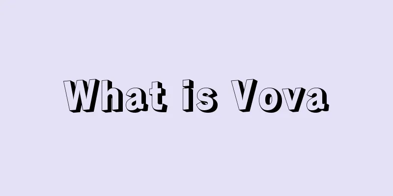 What is Vova