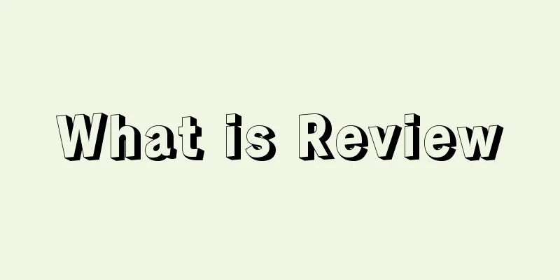 What is Review