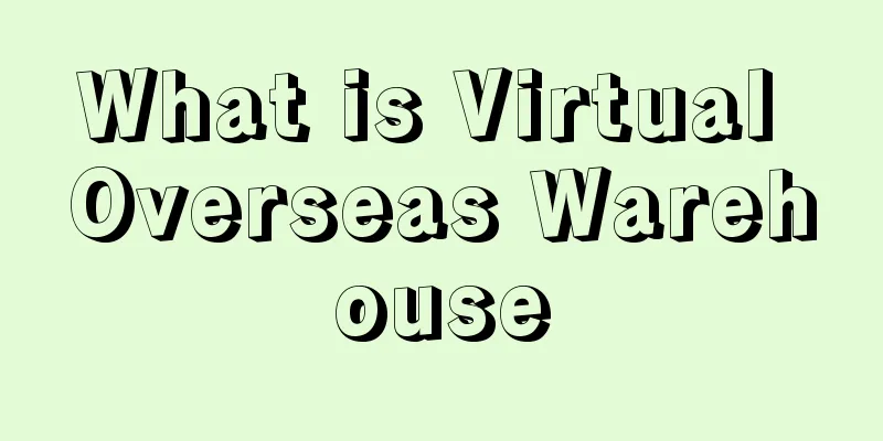 What is Virtual Overseas Warehouse