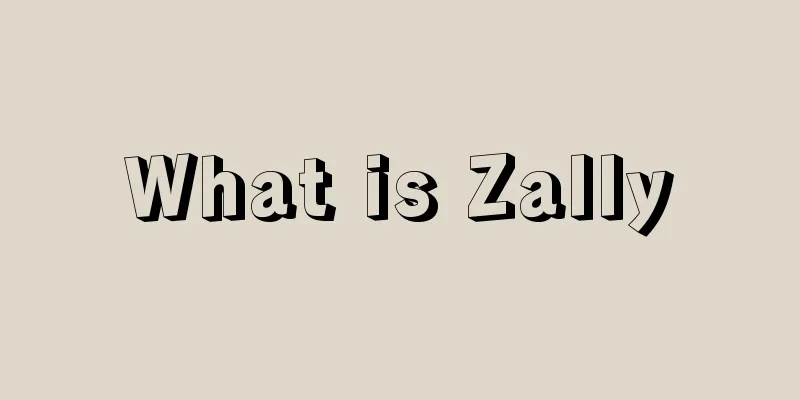 What is Zally