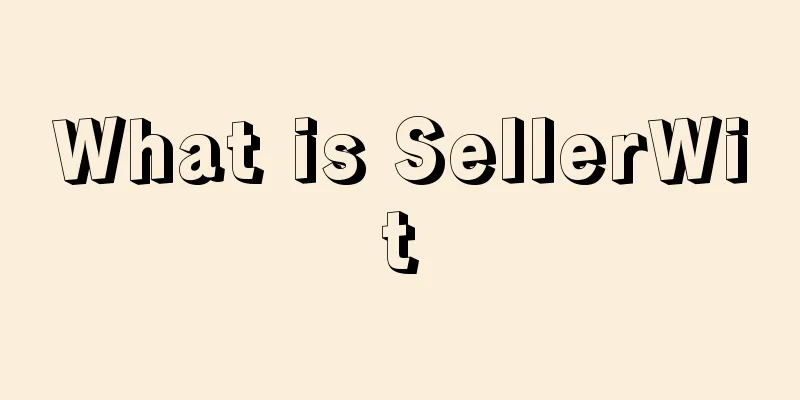What is SellerWit