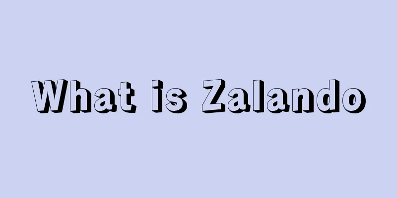 What is Zalando