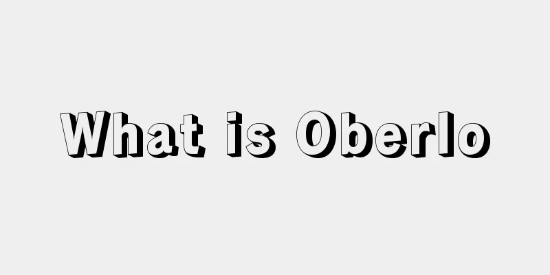 What is Oberlo