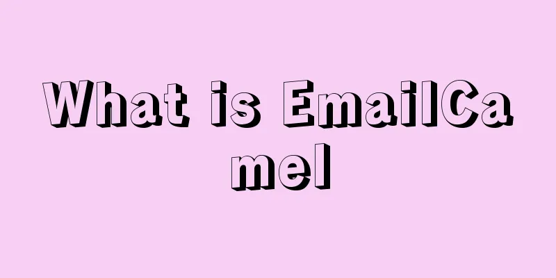 What is EmailCamel