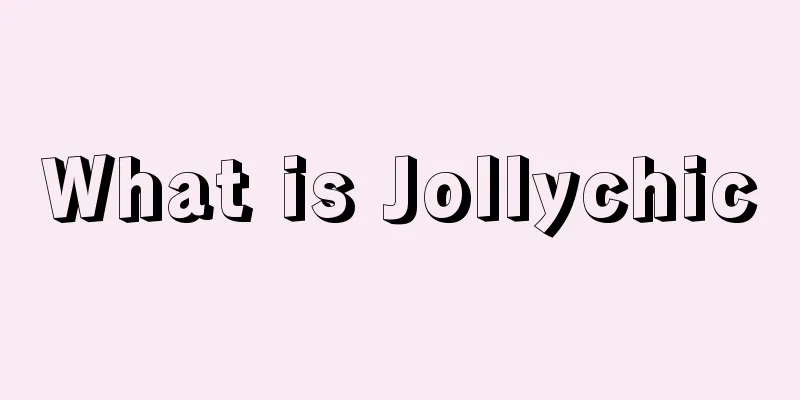 What is Jollychic