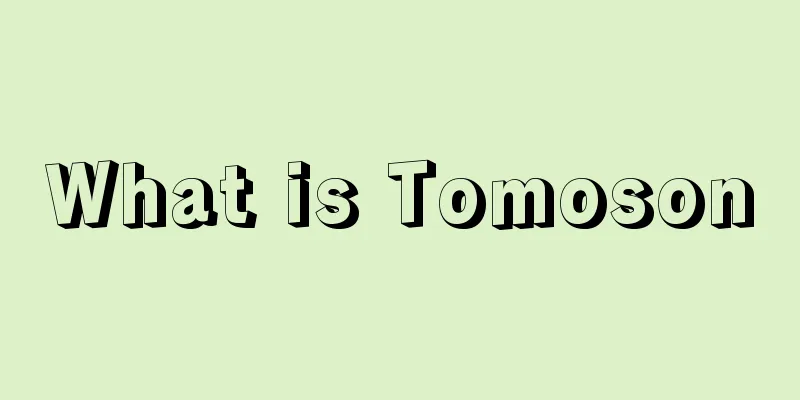 What is Tomoson