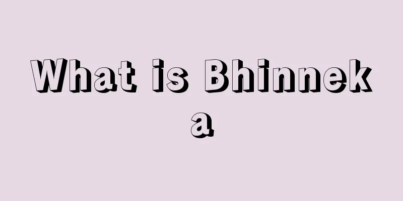 What is Bhinneka
