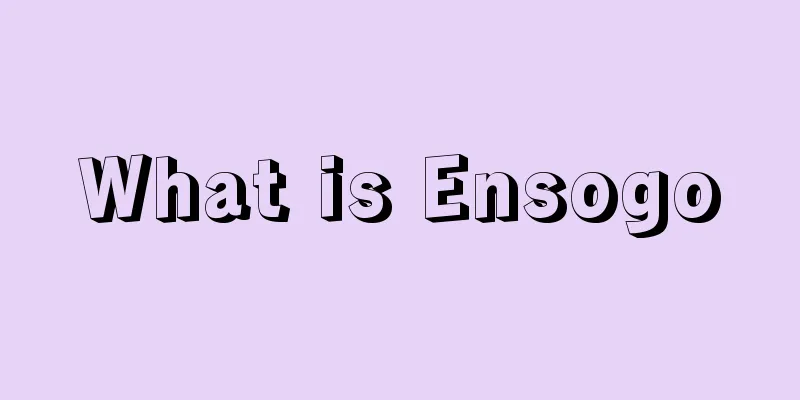 What is Ensogo