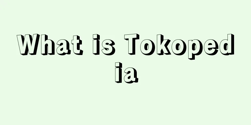 What is Tokopedia