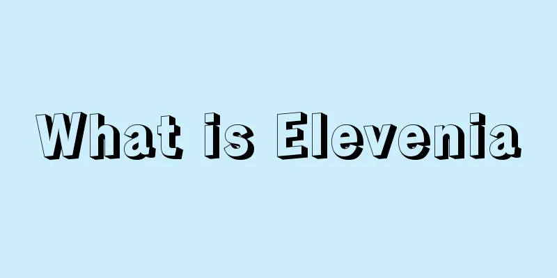 What is Elevenia