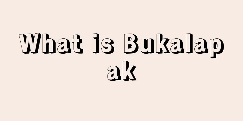 What is Bukalapak