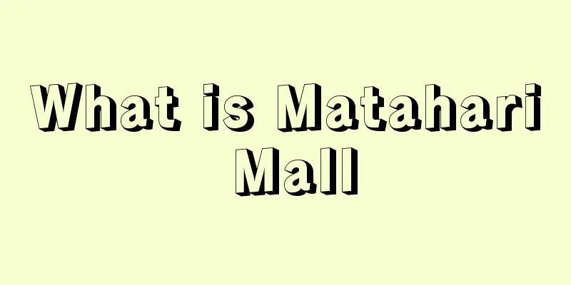 What is Matahari Mall