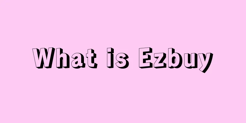 What is Ezbuy