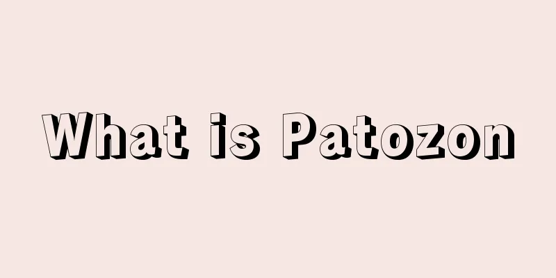 What is Patozon