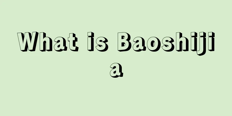 What is Baoshijia