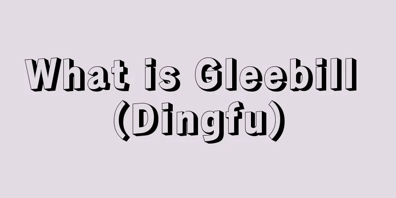 What is Gleebill (Dingfu)