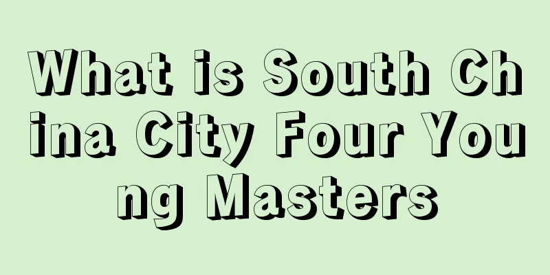 What is South China City Four Young Masters